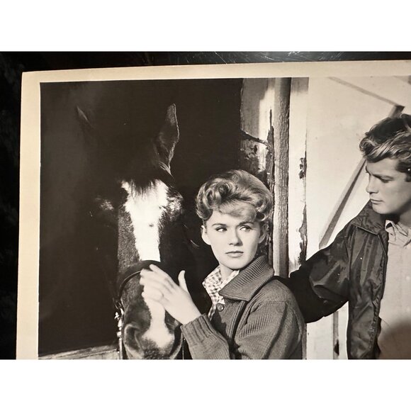 Vintage 1961 Susan Slade Movie Still Connie Stevens Troy Donahue Horse Photo - Picture 6 of 13